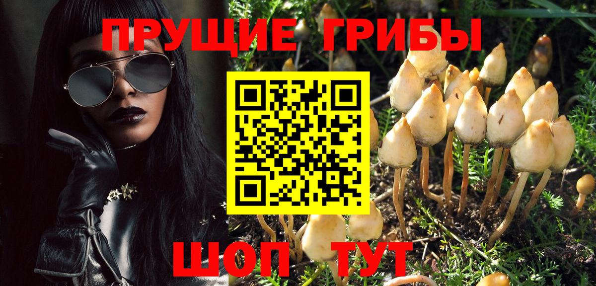 Галлюциногенные грибы MAGIC MUSHROOMS Павлово