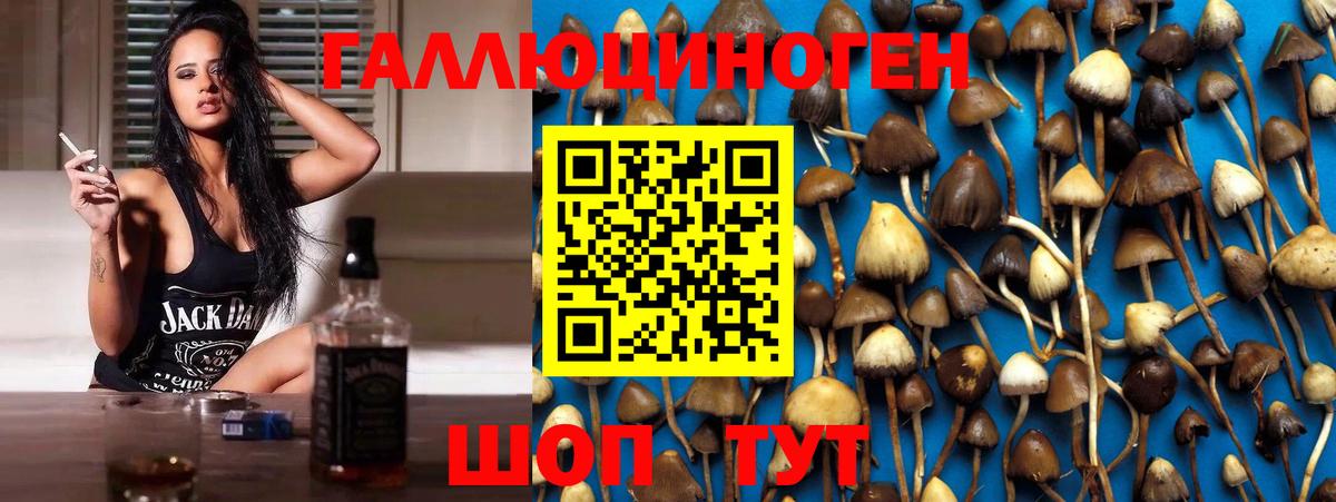 Павлово  Галлюциногенные грибы MAGIC MUSHROOMS  Вход с VPN 